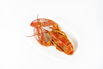 Canadian Lobster, delicious sweet and cooking a variety of steamed or fried curry is popular with the general public and health benefits