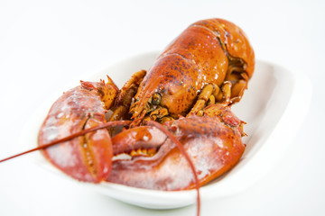 Canadian Lobster, delicious sweet and cooking a variety of steamed or fried curry is popular with the general public and health benefits