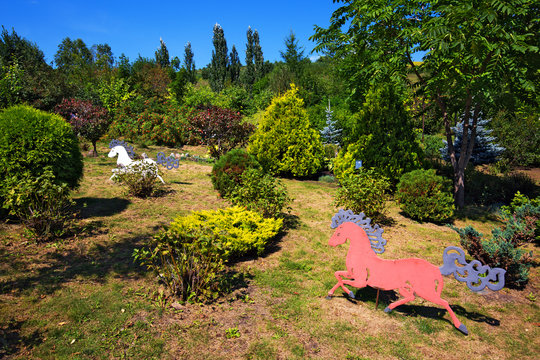 The territory of the arboretum. The Village Of Altai, Gorny Altai, Southern Siberia
