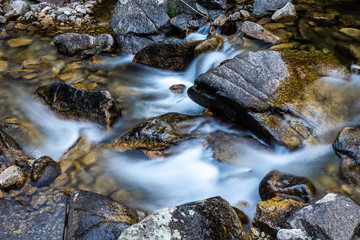 Naklejka na ściany i meble Water flowing around rocks in the forest