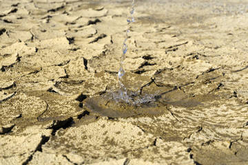 trickle of water pours down with a spray on a dry cracked clay desert soil