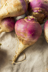 Raw Organic Purple and White Turnips