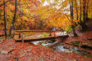 Wooden bridge over brook in autumn
