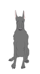 dog sitting, lines, vector