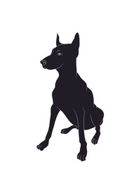 dog sitting, silhouette, vector