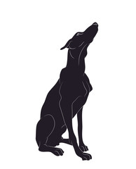 dog sitting, silhouette, vector