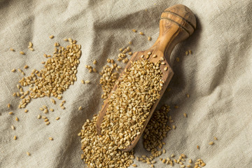 Organic Toasted Sesame Seeds