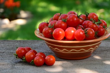 Fresh cherry tomatoes in bowl on wooden white table on garden background