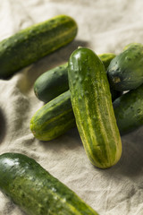 Raw Organic Green Pickling Cucumbers