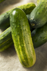 Raw Organic Green Pickling Cucumbers