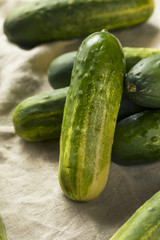 Raw Organic Green Pickling Cucumbers