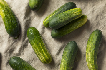 Raw Organic Green Pickling Cucumbers