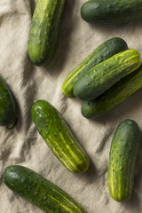 Raw Organic Green Pickling Cucumbers