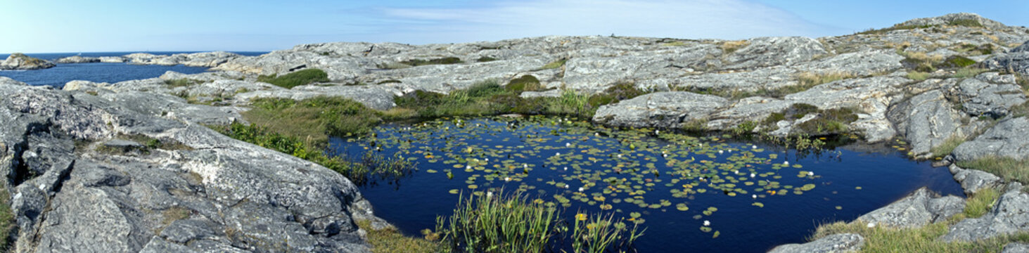 MarstrandBilder StockFotos & Videos. Adobe Stock