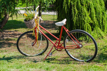 Fototapeta na wymiar Old red bicycle in the garden