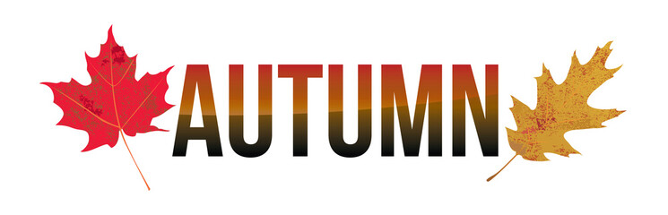 Autumn Word Art Illustration