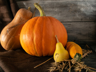 still life of autumn pumpkins of various sizes. on a wooden background. with candlestick for...