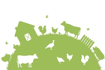 Ферма с животными - obrazy, fototapety, plakaty