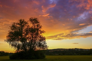 Sonnenuntergang in den Lahnwiesen Burgsolms