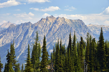 View from the Heather-Maple Pass loop trail, located near the edge of North Cascades National Park in northern Washington state