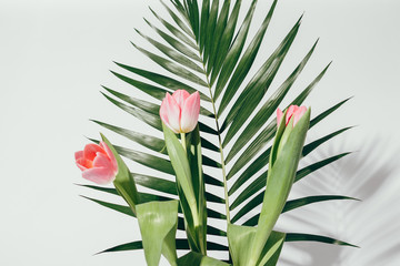 Fresh bouquet of three pink tulips with palm branch