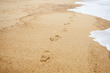 Footprint of bare feet on wet sand. Summer vacation on the beach. Walk along the sea shore