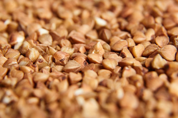 Buckwheat grains. Dry brown kernel as background. Selective focus