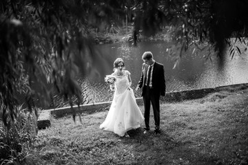Happy wedding couple. Bride and groom walking in the park near a pond. Sunny summer day. Black and white image