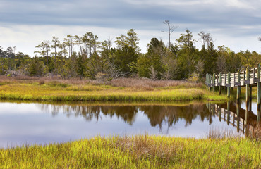 Early spring scene along the Cedar Point Tideland Trail, located near Emerald Isle, North Carolina