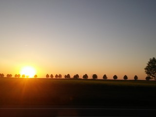 Obraz premium Minimalist sunset view, clear sky, panoramic horizon with trees, sky with copy space for banner, lyrics, blog post, social media, youtube, instagram, blog post