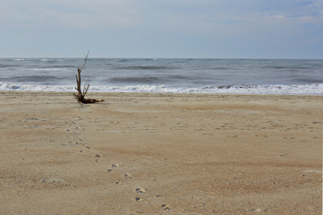 Fototapeta na wymiar Beach scene along the Atlantic coast at Fort Macon State Park, North Carolina