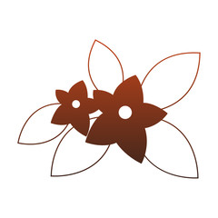 Beautiful flowers cartoon red lines