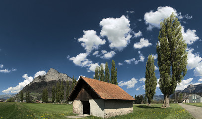 Gonzen and Poplars; scene on the Swiss Rhine valley floor near Sargans