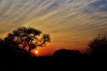 Fototapeta na wymiar Sunset in Kruger National park