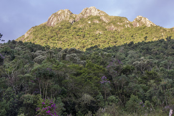 through the trails of Itatiaia