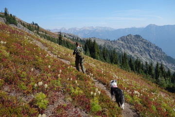 Obraz premium Hiking in the Pacific Northwest, Washington State
