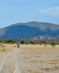 Game drive against a mountain background, Shaba National Reserve, Kenya