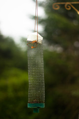 hanging bird feeder