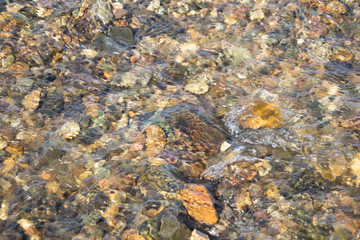 Nasse, rote Steine mit Seetang überwuchert - Ostfjorde / Island 