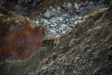 Panorama of the foggy winter landscape in the mountains with snow and rocks, Azerbaijan, Lahic, Big Caucasus