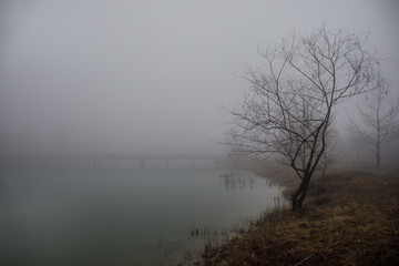 Fototapeta na wymiar Amazing landscape of bridge reflect on surface water of lake, fog evaporate from pond make romantic scene or Beautiful bridge on lake with trees at fog.