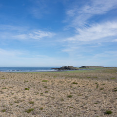 Halbinsel - schwarzer Sandstrand bei Djúpivogur / Ostfjorde - Island