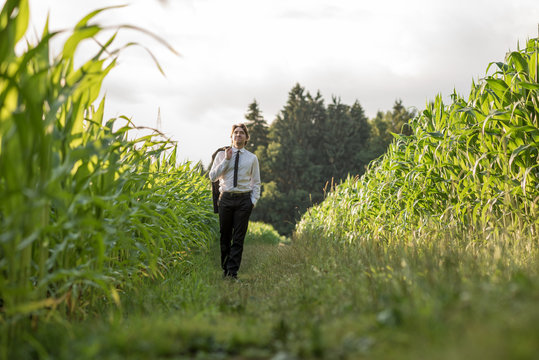 Young successful businessman walking between two corn fields