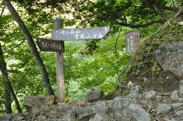 奥秩父の登山道