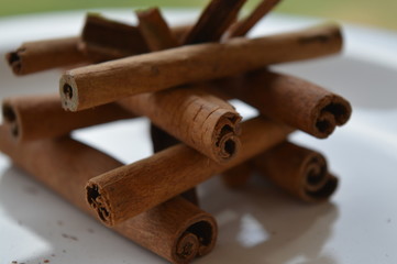 Cinnamon in bark