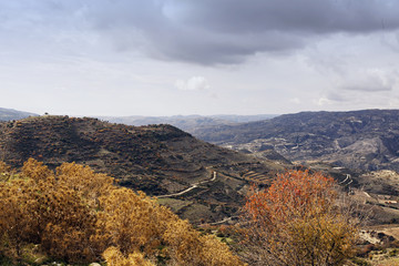 im troodosgebirge auf zypern