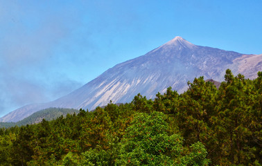 View on Pico del Teide volcano with pine forest in the foreground from Santiago del Teide,
Tenerife,Canary Islands,Spain.