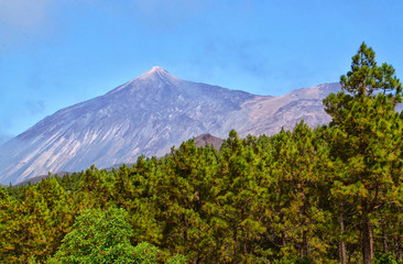 View on Pico del Teide volcano with pine forest in the foreground from Santiago del Teide,
Tenerife,Canary Islands,Spain.