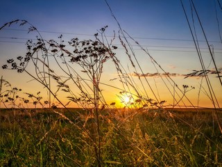 Beautiful summer sunset sky in beige blue shades over countryside green field