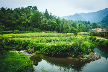 Fototapeta premium Countryside scenery in China